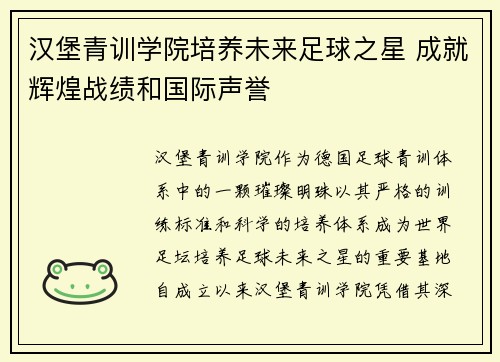 汉堡青训学院培养未来足球之星 成就辉煌战绩和国际声誉